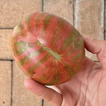 Chocolate Stripes, Tomato Seeds - Packet image number null